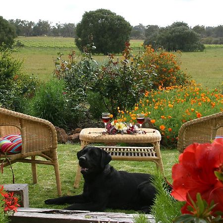 Silversprings Spa Retreat Pet Friendly Cottages And Glampings Metricup Экстерьер фото